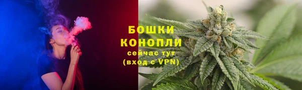 дурь Алексеевка