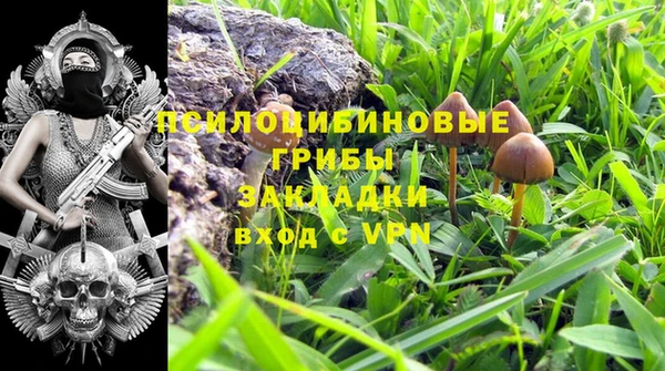 дурь Алексеевка